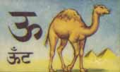 unth